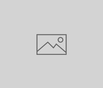 Foto Gallery